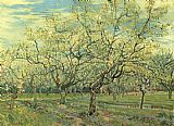 Orchard with Blossoming Plum Trees by Vincent van Gogh